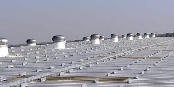 WhatsApp Image 2025-10-29 at 12.45.40 PM